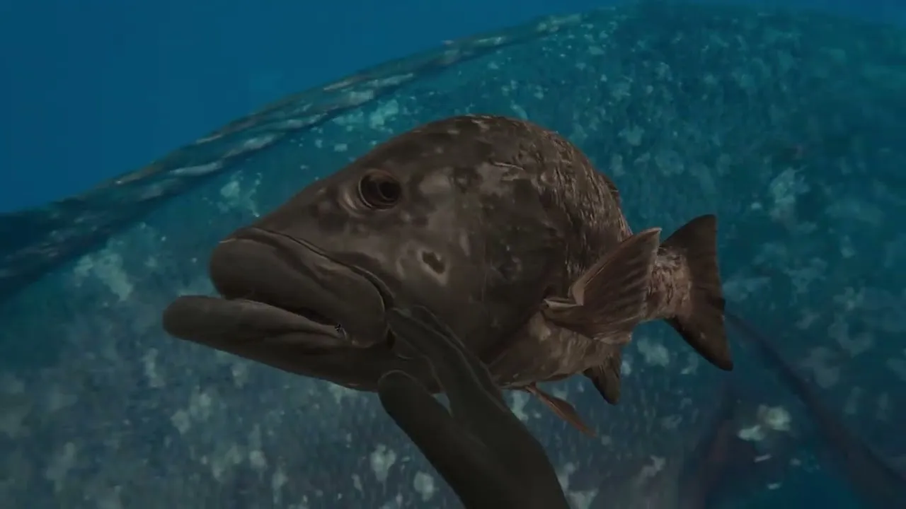 XperimentAR: a grouper swims up to the viewer underwater